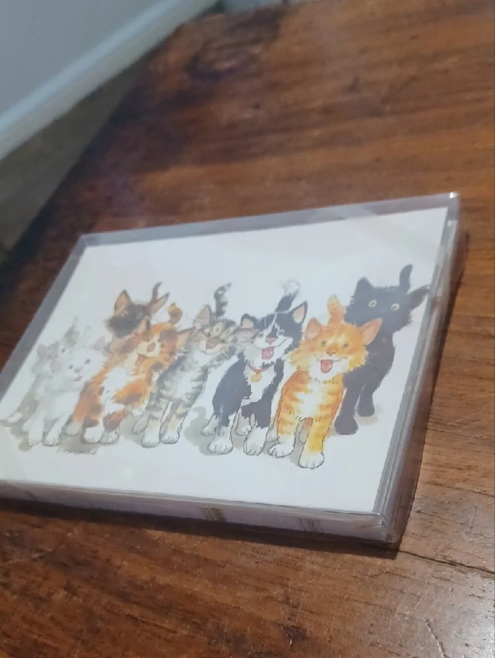 New Cat Themed Stationery